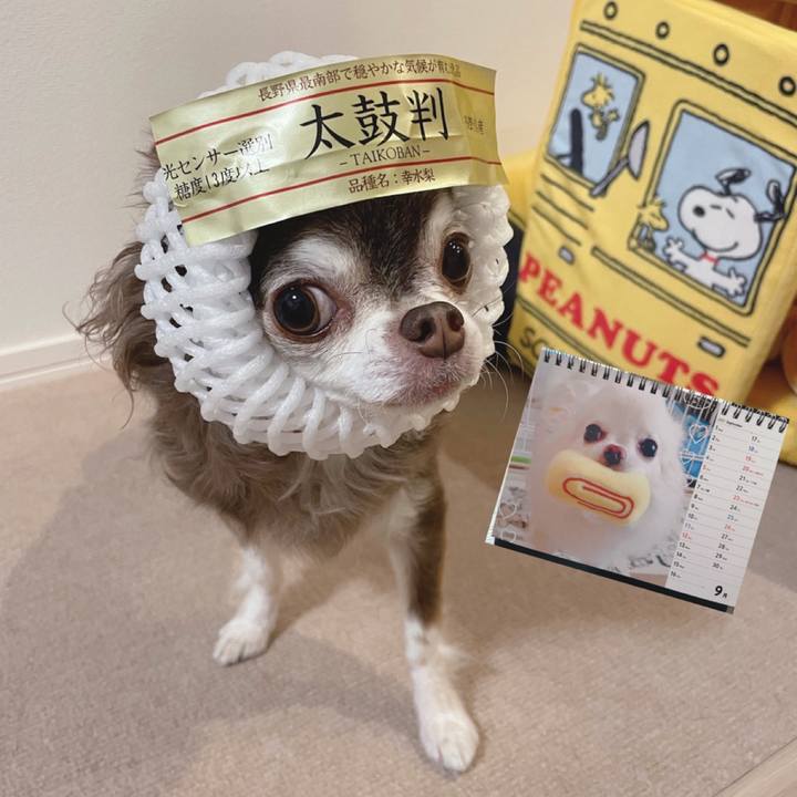 1828436d e852 407d b936 efa035c8130c 1630504710443