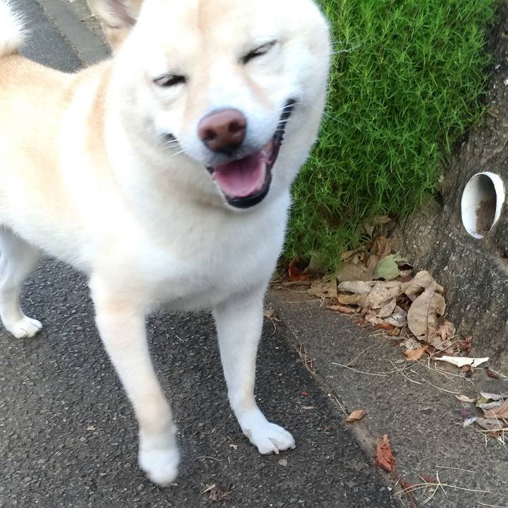 182848b7 7a93 4d64 b325 8f10859776be 1598307835327