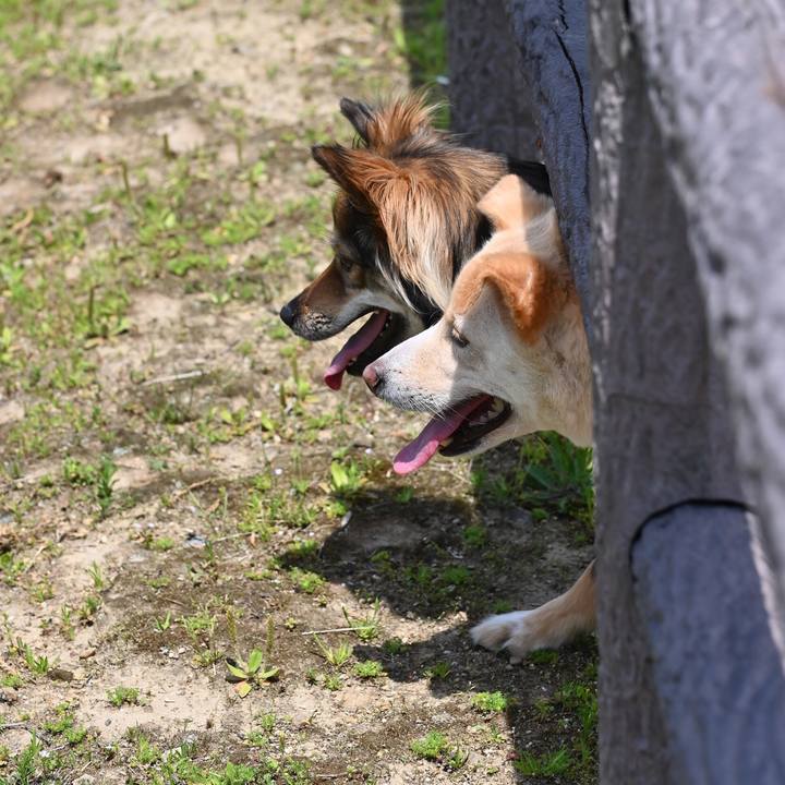 182893d3 07b8 4839 9a56 3efd87872f8a 1557307257610