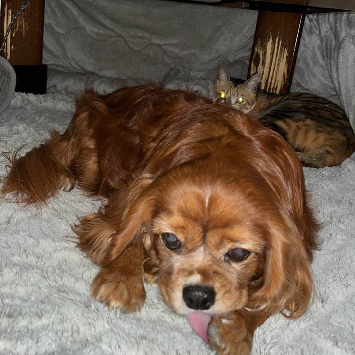 1828ca8e 0012 4290 8e1c 9eaea8a7f403 1706221781266