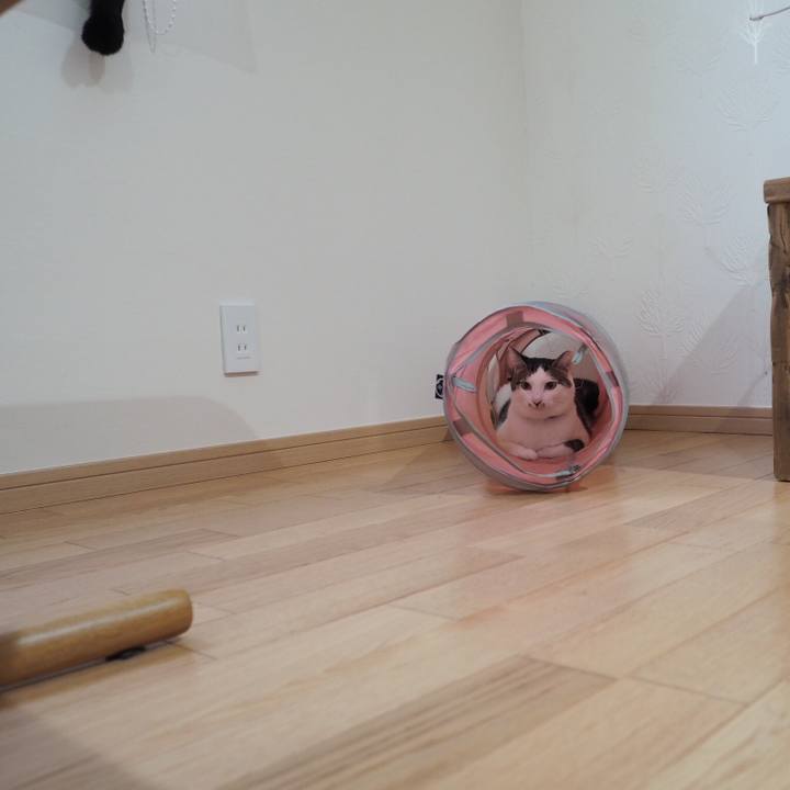 1828d3fa a5c9 40f7 8519 6d4eeacd545b 1537399992919