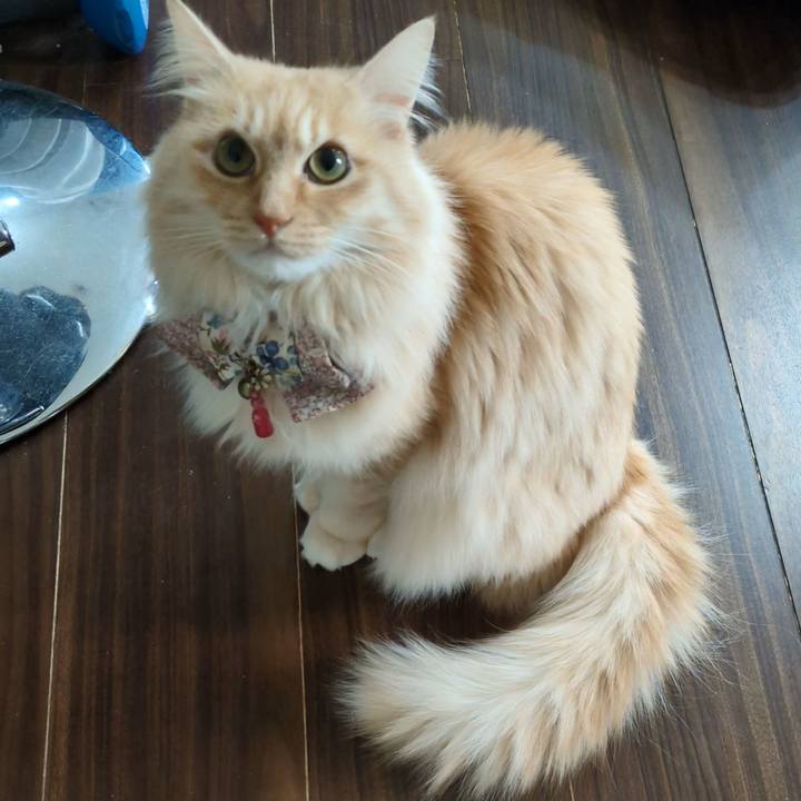 1828d9e6 ecb9 41e8 88a2 deac4a496063 1769567738714