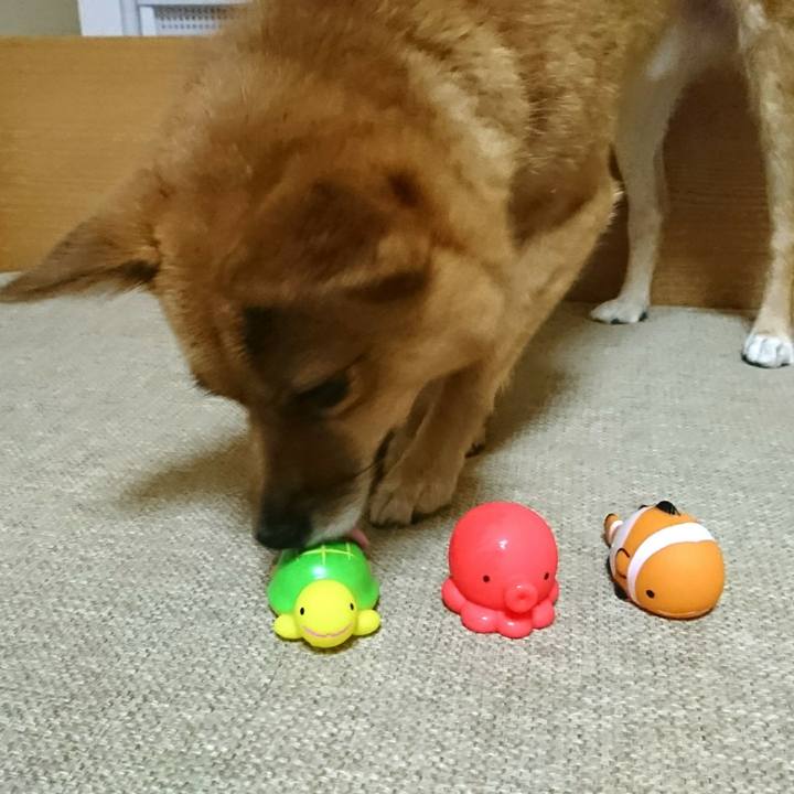 1828de63 b4a8 4487 9bac 0b6a5e5de1c9 1507898842875