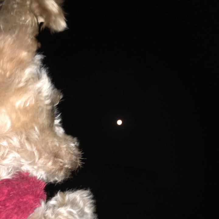 1828e5d0 3f3d 42d7 814c 9bc482fa7fbb 1514927010062