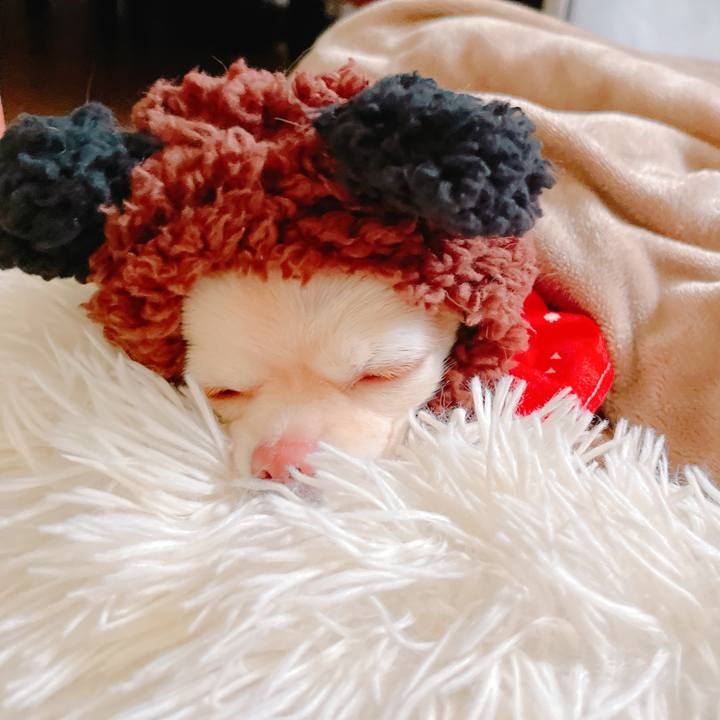 1828ffc2 b1e7 4db7 87ba fce8c129d1b3 1647578640784