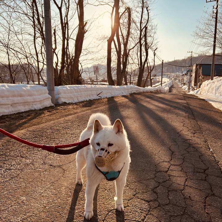 18292589 6327 4ae2 8292 d00ad39c5fd0 1773787244543