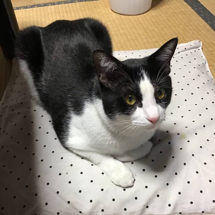 1829cea5 d94e 4763 98cf ab303f568e1b 1657107708888