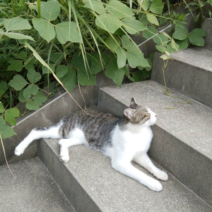 182a2c05 4cb8 47b7 adaf 19fc35b46ea2 1533805484629