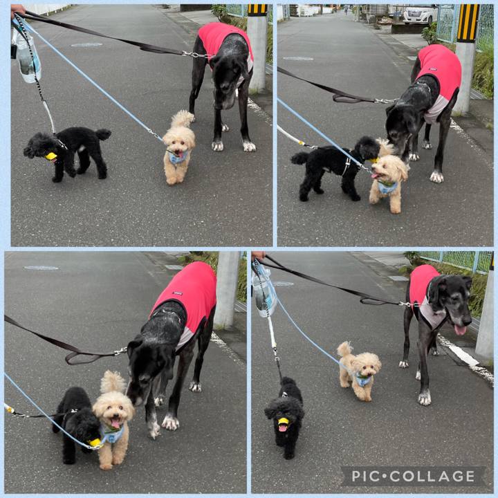 182aa8c5 77ec 4f61 a68a e74e65f0c96d 1630729841886