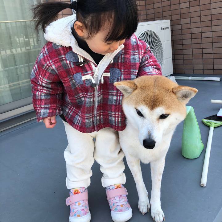 182aaa60 e6d6 4994 843b 0a13805b049b 1584746921256