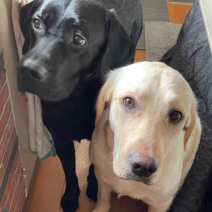 182ac467 61e8 4c76 a9fc 911b8462058c 1643763076619