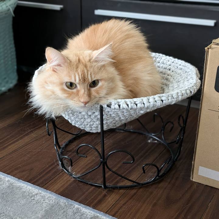 182acd03 1ace 47b0 9c34 d162218b7322 1727241849652