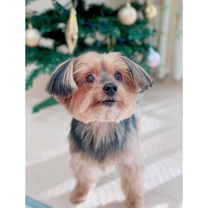 182b1ba5 34aa 4ce7 a834 f90c5107cbe8 1608098416250