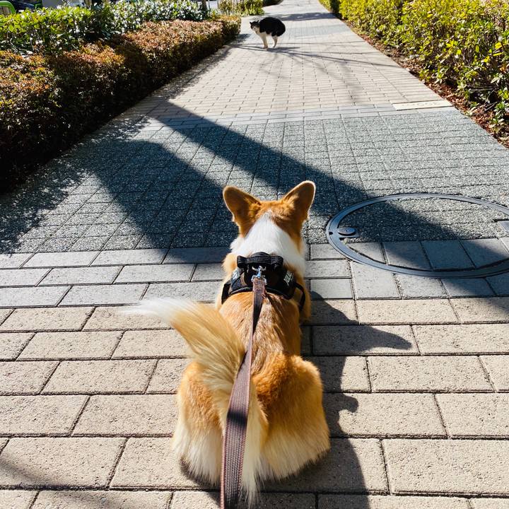 182b2cdb fd9c 4184 af1b c356e6d5d57c 1581574521688