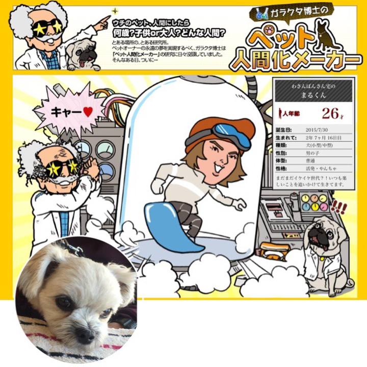 182b71ec 04a3 4bf9 bd6d 68824575a9fc 1521203240152