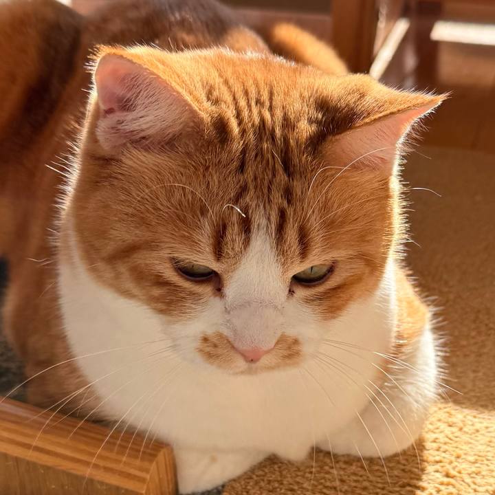 182b9907 1c4f 43e0 b0a5 f36d280c8e5c 1764401724442