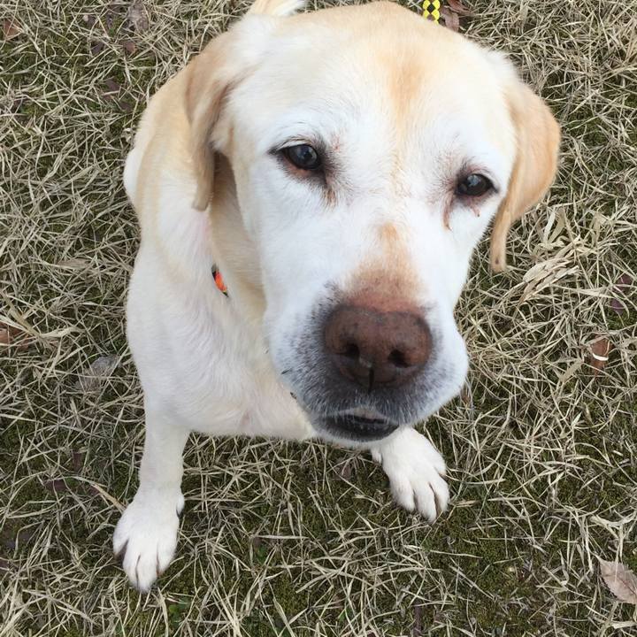 182bc528 866a 44ae ba77 e40c31523c8b 1553157726005