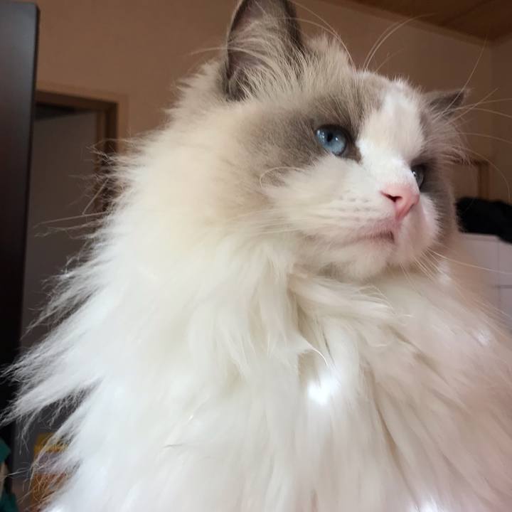 182be53c e991 401a bf00 44095363fa3a 1578040315861