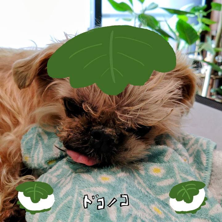 182c0ff8 46e1 45d9 ab74 5254886ff63f 1749279858235