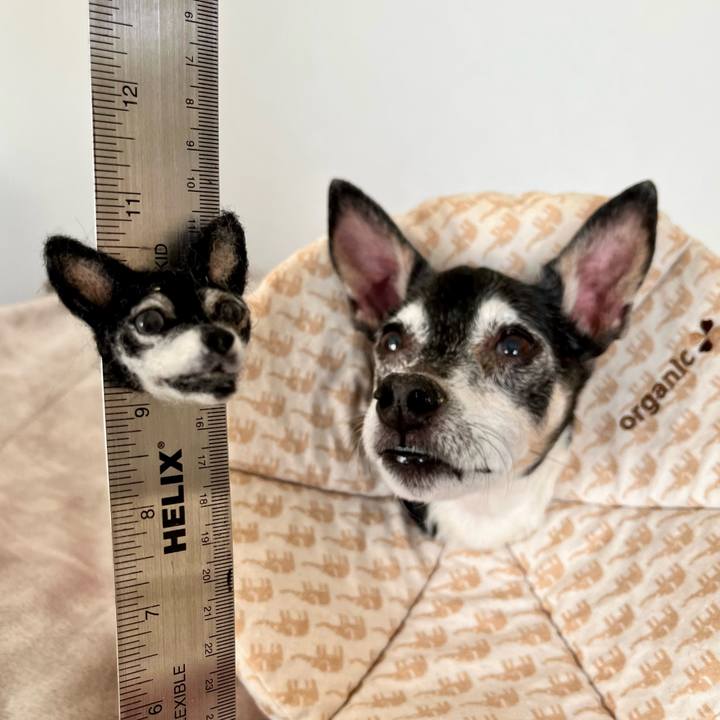 182c393c eabc 4e1f 8c9c 476f3f4a7397 1644537242123