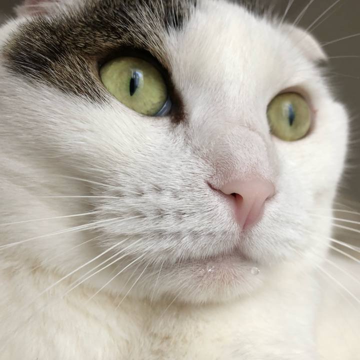 182c401f 537b 4f3f b956 d145ec2fabd4 1530566627383