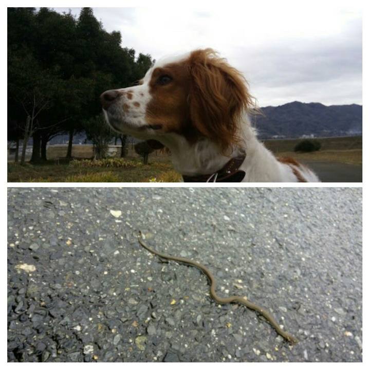 182c73a4 9a87 4891 8391 01555240dd74 1520252278886