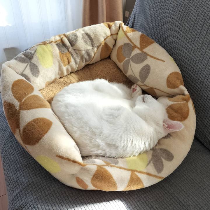 182cc33f 3c4b 44db a4d9 9f116d27e023 1771129750475