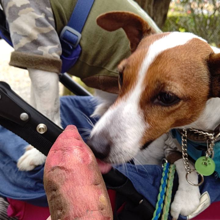 182d393b 1f4a 49c0 9101 f2db0537e653 1637476003440