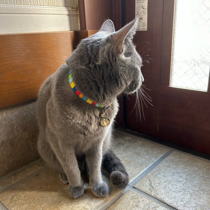 182d4dc0 d8bd 4f18 bdb1 928b191e0bf1 1701152638968