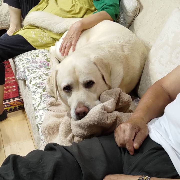 182d5a5a 7031 435c b33a a934ff50675a 1718927279750