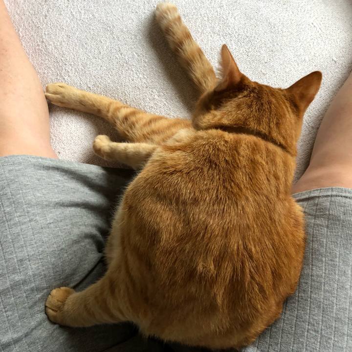 182d8851 7fa6 44ad ba52 b720d391dbba 1561772264727