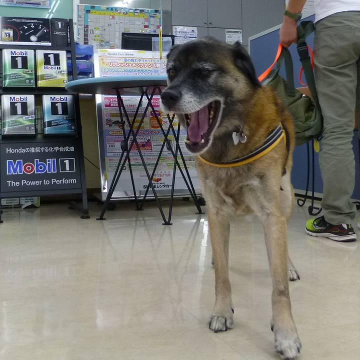 182d94d1 3227 4b0f b2ce 5875b8179b7f 1580607324870