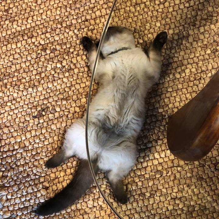 182daf68 34e5 4eb1 a375 e64e37a64964 1591922986627