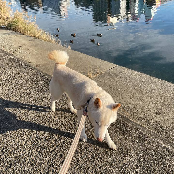 182dc1f2 9081 4890 b8ca c0cbd7229adc 1638193506514