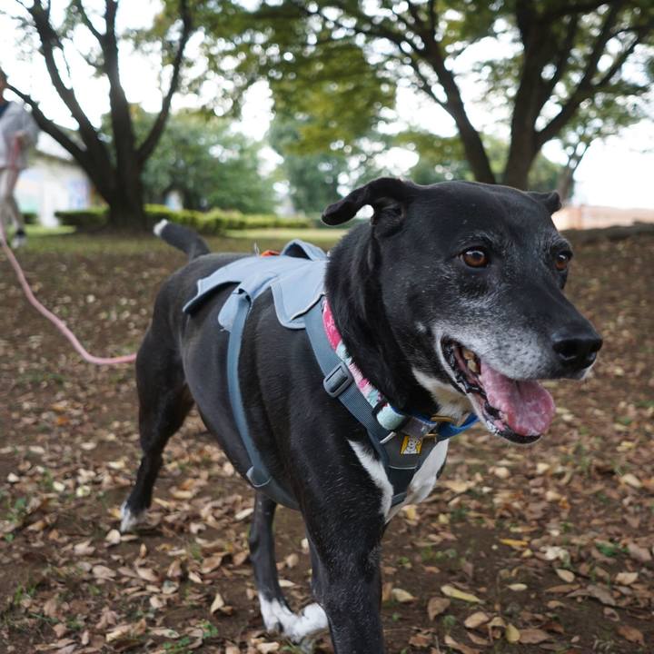 182ec937 fd49 4055 a766 408f0fb94aa7 1761699681100