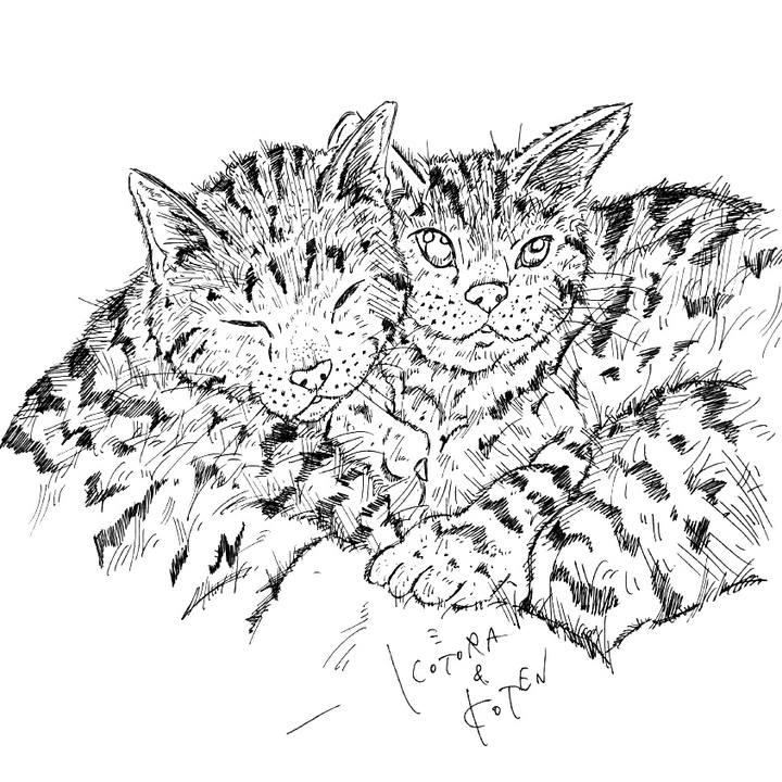 182ecf4d c36c 456f bd63 36fb18cd2f7e 1580309070039