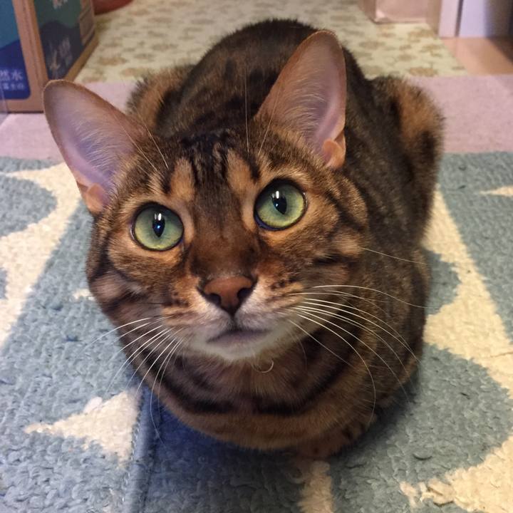 182eedfd b761 4f3b 9fee 6da937c2ae01 1543182612334