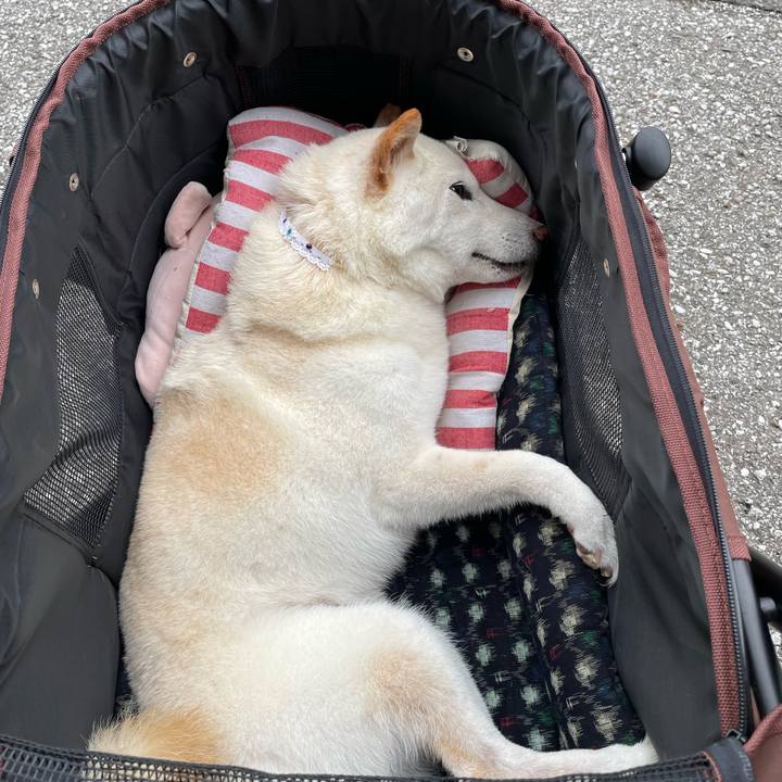 182f00bc 8a6a 473e b5b4 eb72740e4621 1651069143067