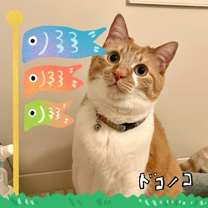 182f7e84 0ae8 434b 922d 5e636ba42ff5 1715181423476