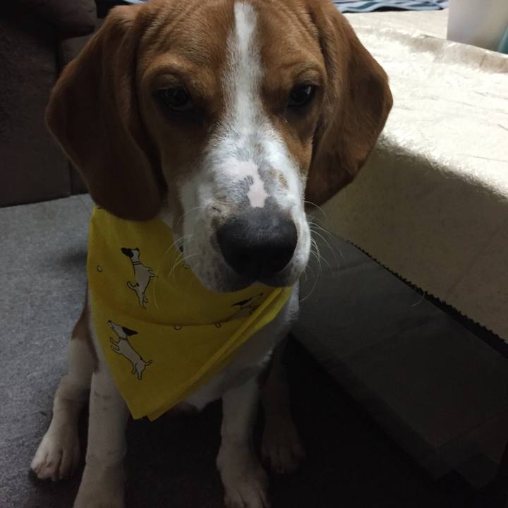 182f93f6 9302 456d 8f25 79d8e8e08250 1524969486608