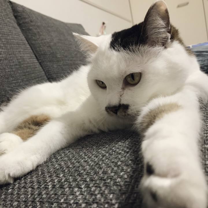 182f9b74 b1f9 4089 8b55 641b008ef8aa 1556865191904