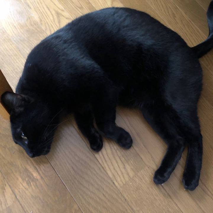 182fa1db 805f 4569 b386 f5408bec1554 1702506438761