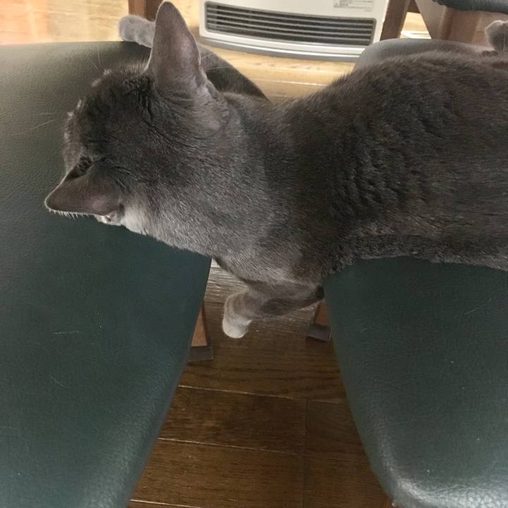 182fa295 5ddb 4e00 8777 5c4d211bb4e3 1550484572279