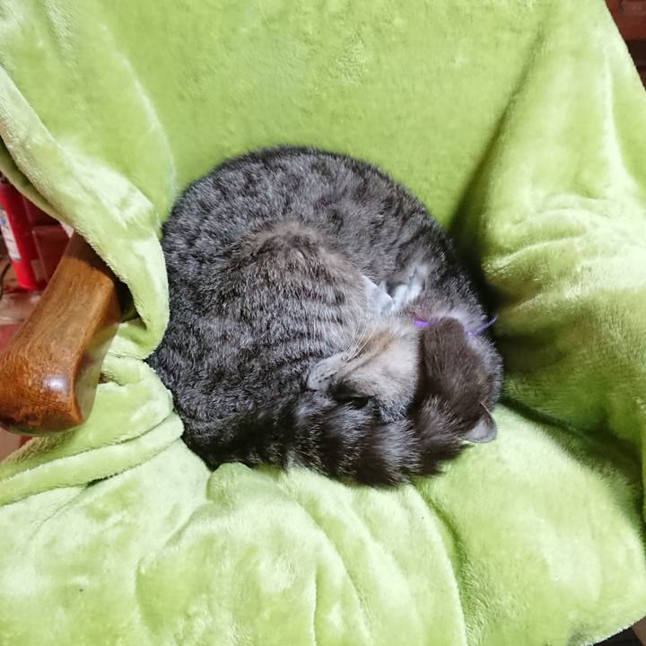 182fdba7 9035 481d b814 3596aed5a166 1590882015573