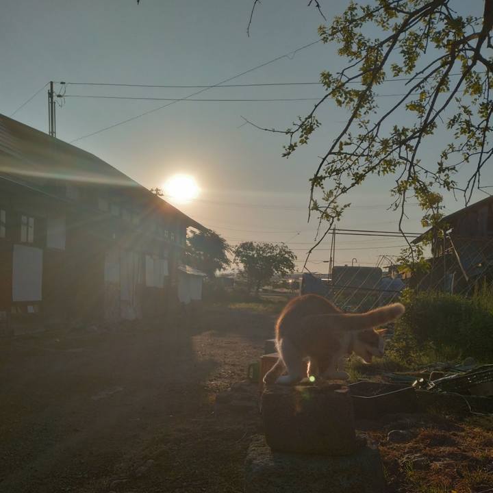 18300fbf 5f1a 4b6a b749 32a302331879 1749073420651