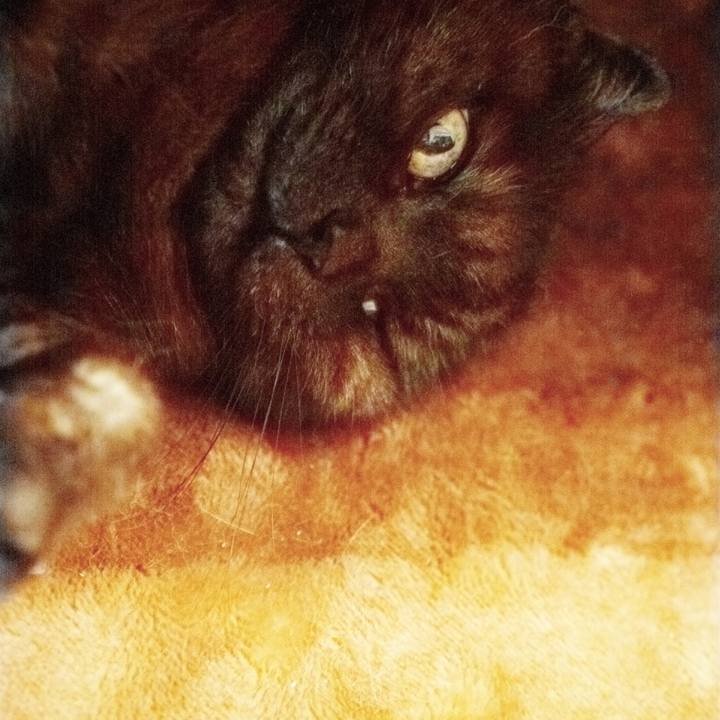 18303842 45a4 4872 b301 43f62908147d 1621084507009