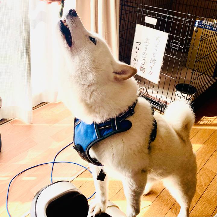 18303a3f beef 4492 83de b190eb20e72d 1648695248929