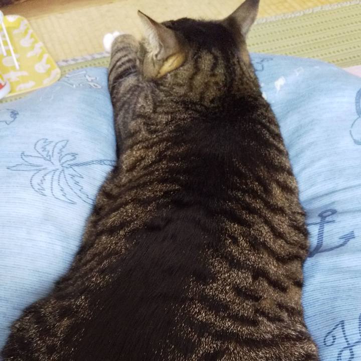 18303f78 1409 47d8 a5f5 e23c4fa0d4d3 1650772788752