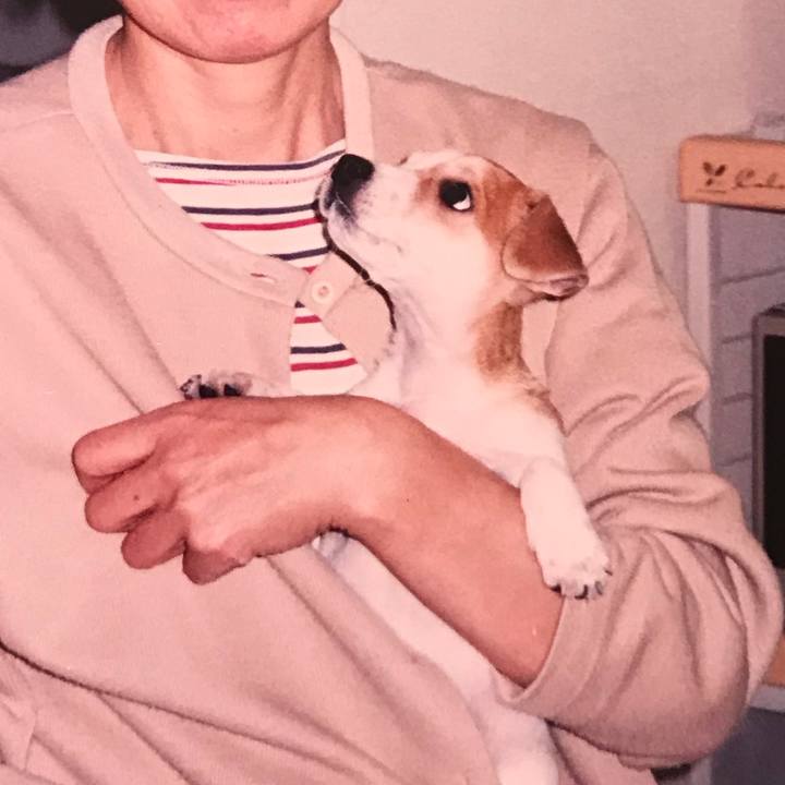 18305e7c a9ae 4252 b655 17c561c613d6 1599003384484