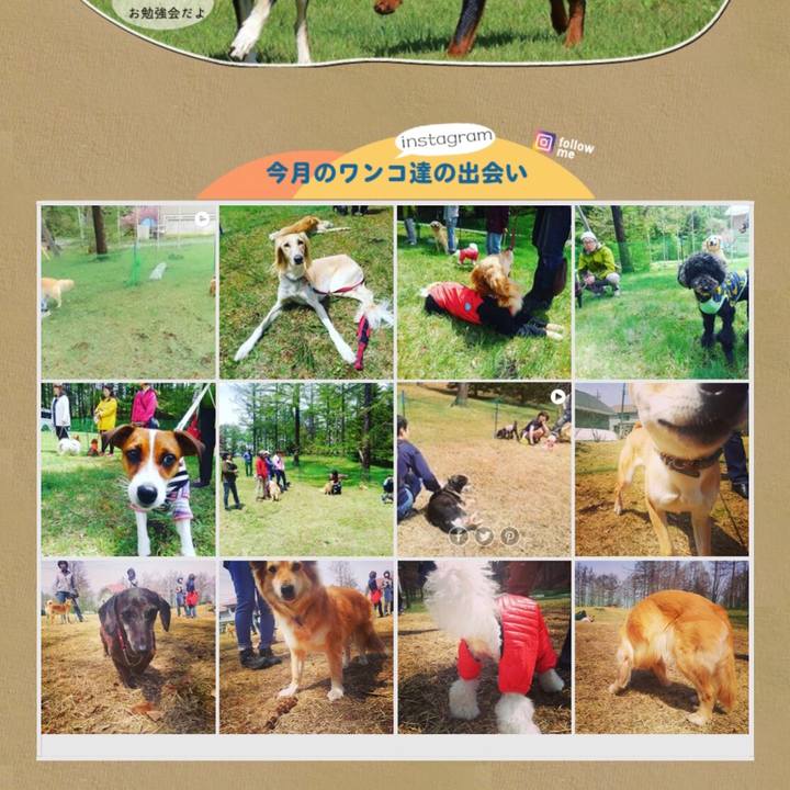 18306fae c214 4555 bbd9 522f78d6f351 1525780229068